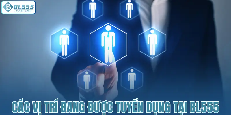 Các vị trí đang được tuyển dụng tại BL555